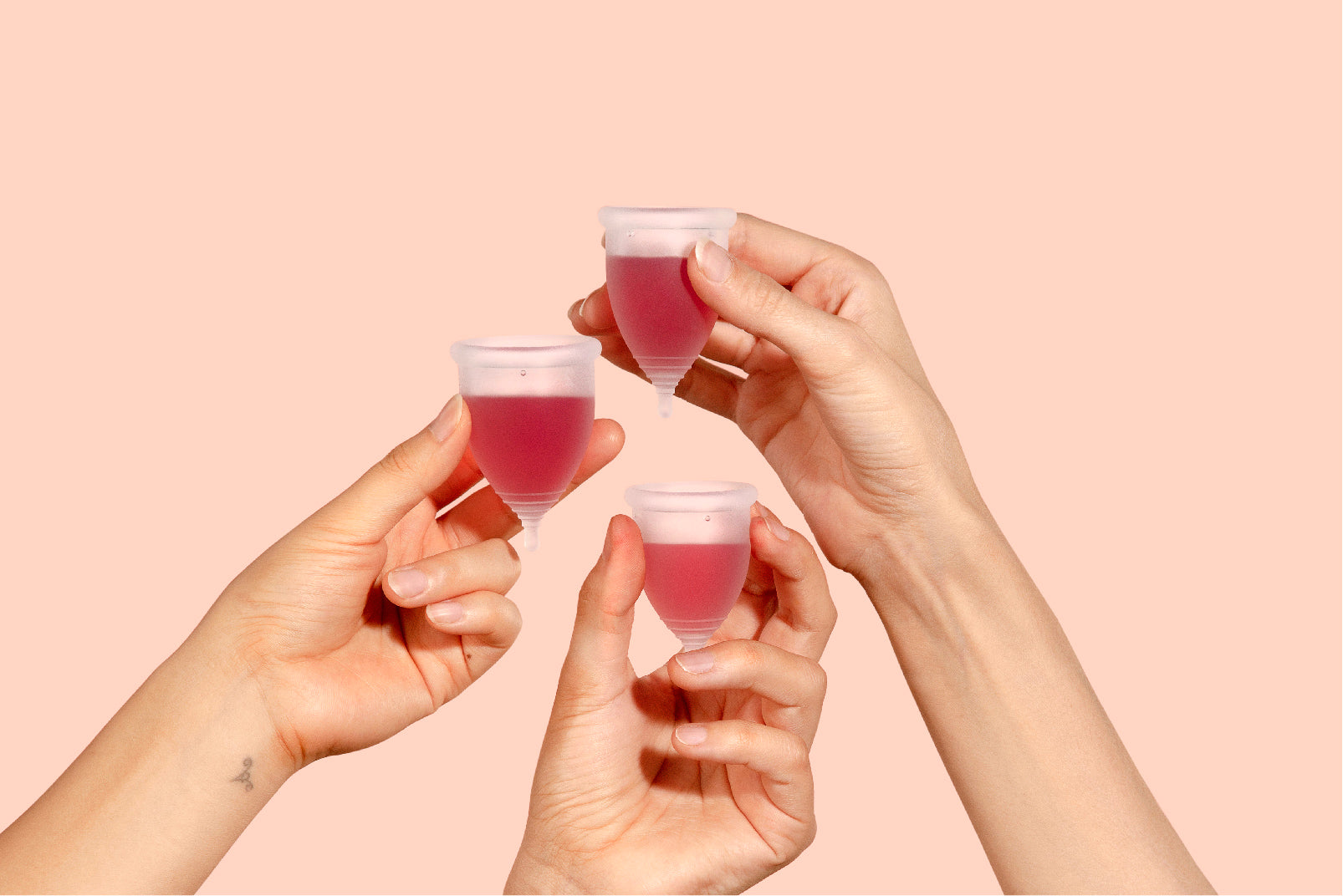 Is It Okay to Give a Dog Cranberry Juice  : Unveiling the Truth