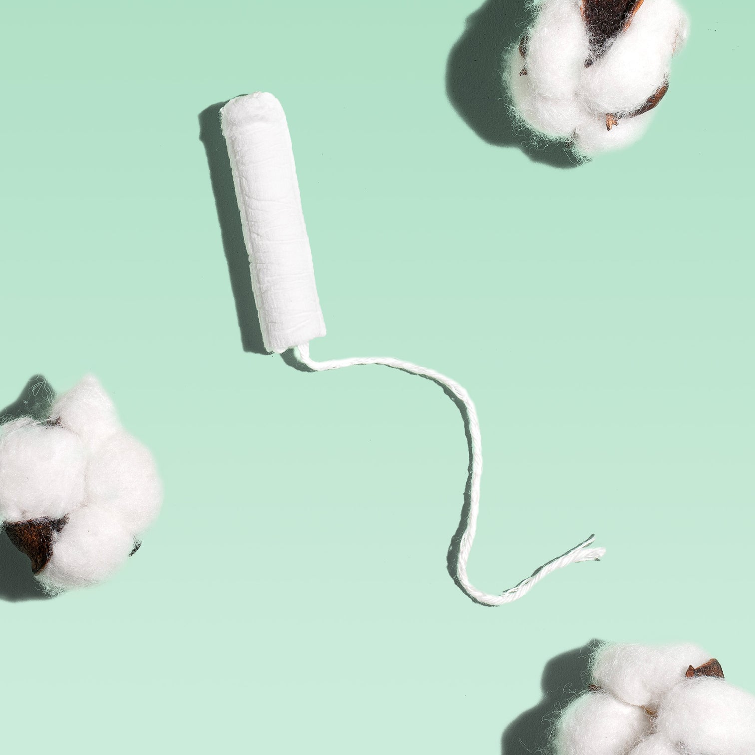 Organic Cotton Tampons Cardboard Applicator Rael