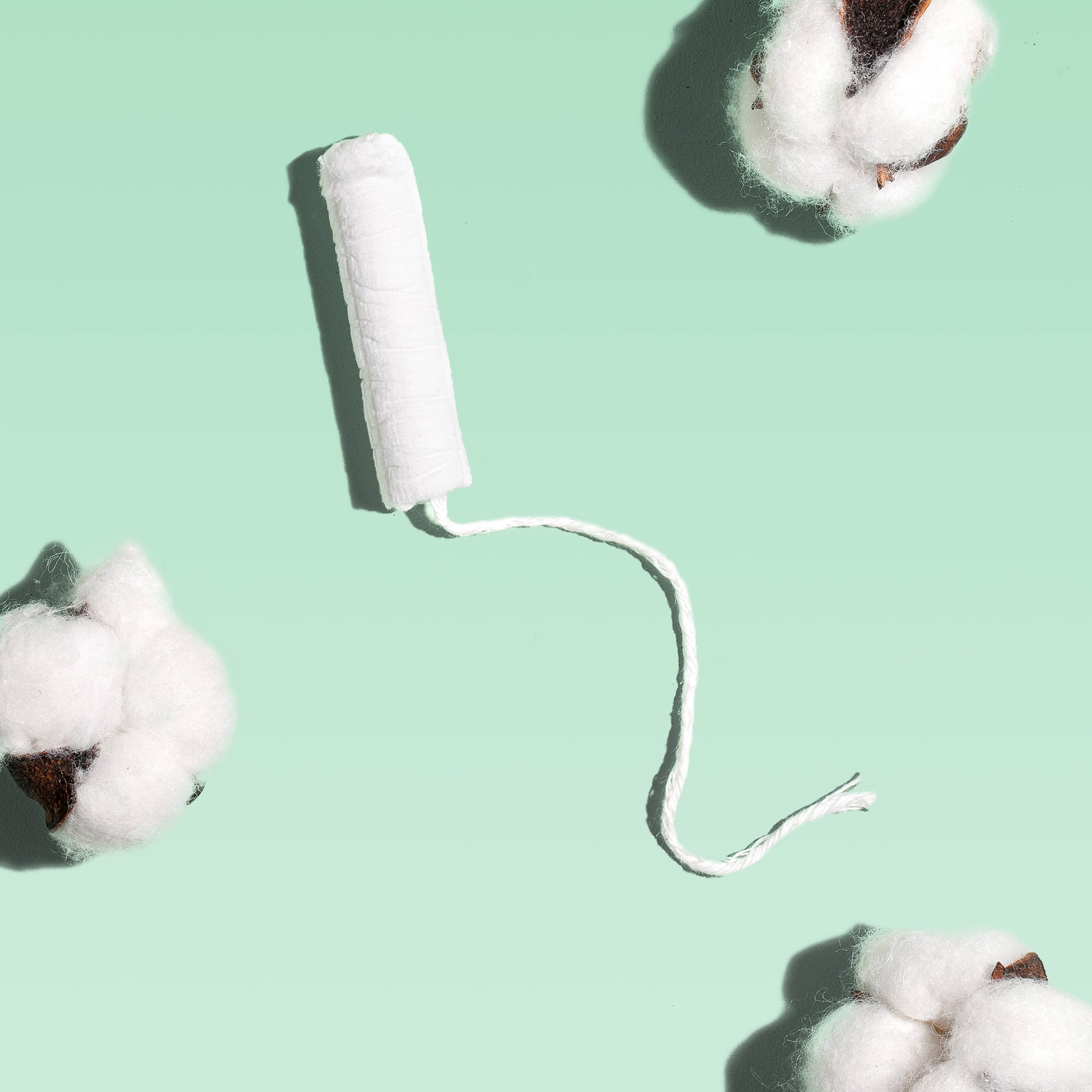 Organic Cotton Tampons Cardboard Applicator Rael