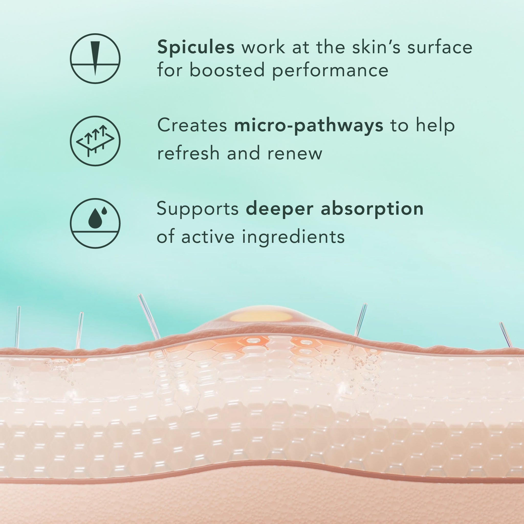 Illustration of skin with spicules and text explaining their benefits