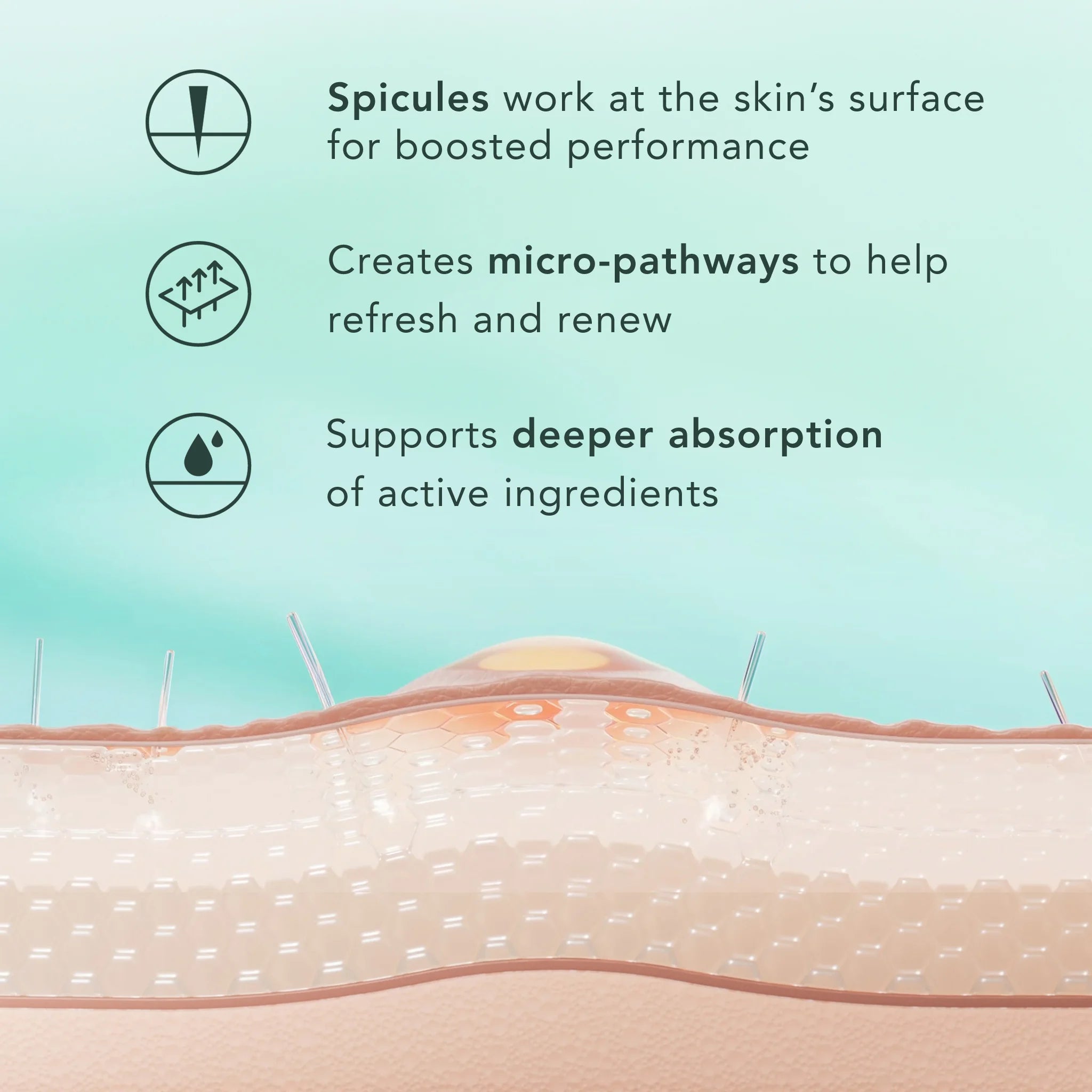 Diagram of skin with text explaining spicules and their effects on skin.