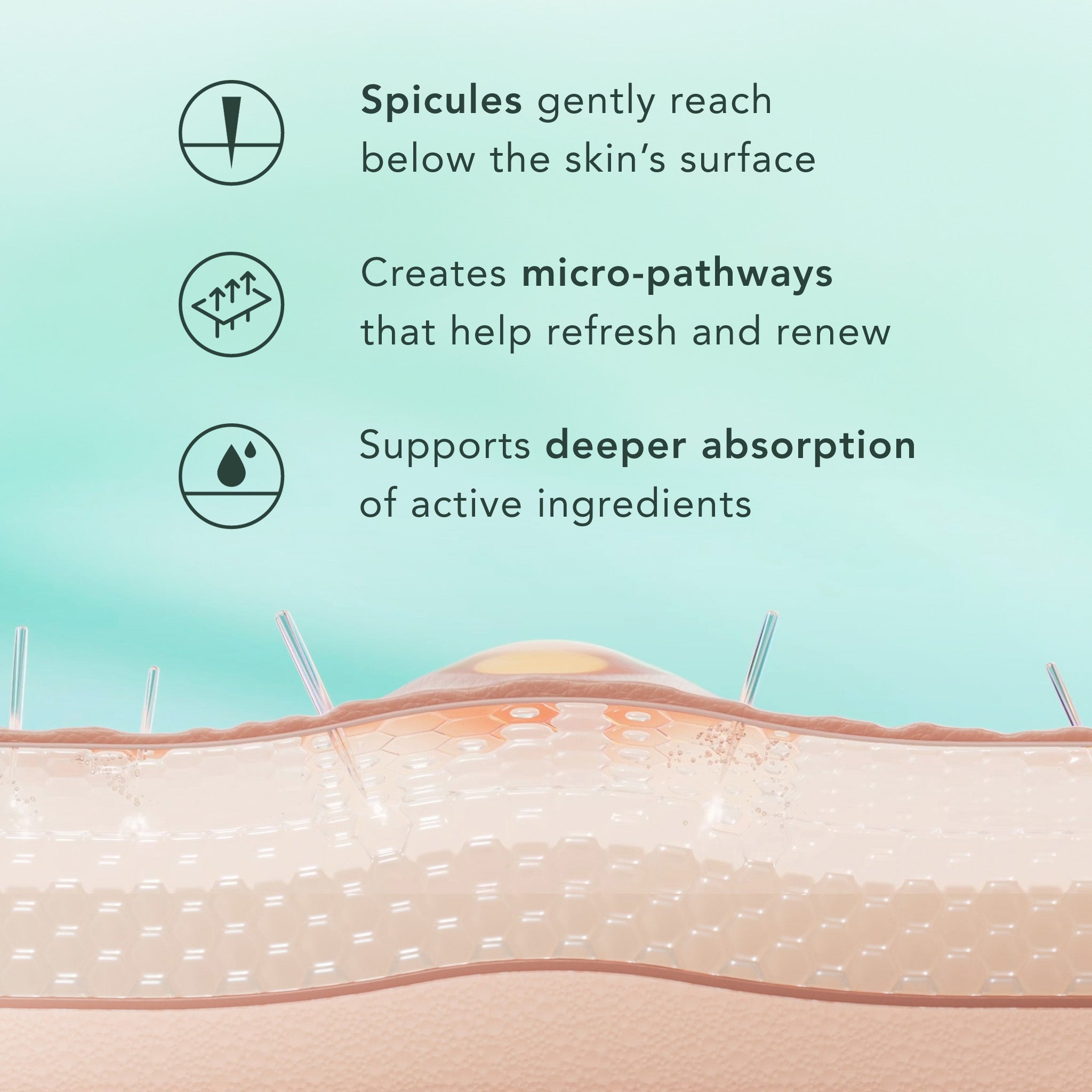 Diagram of skin with text explaining spicules and their effects on skin.