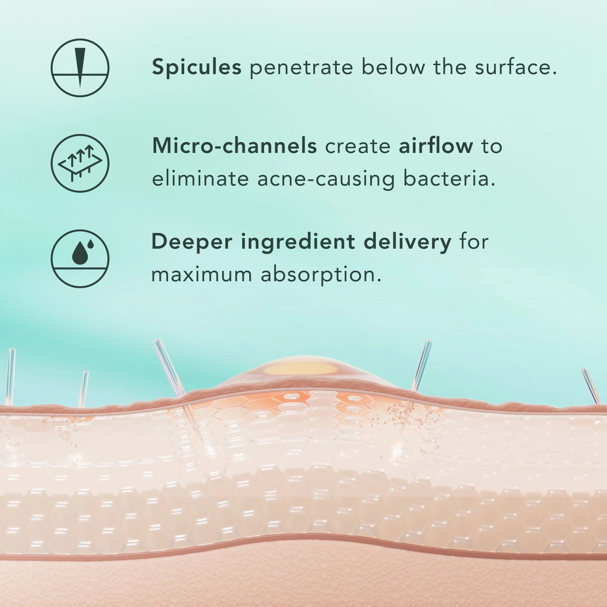 Diagram of skin with text explaining spicules, micro-channels, and ingredient delivery.
