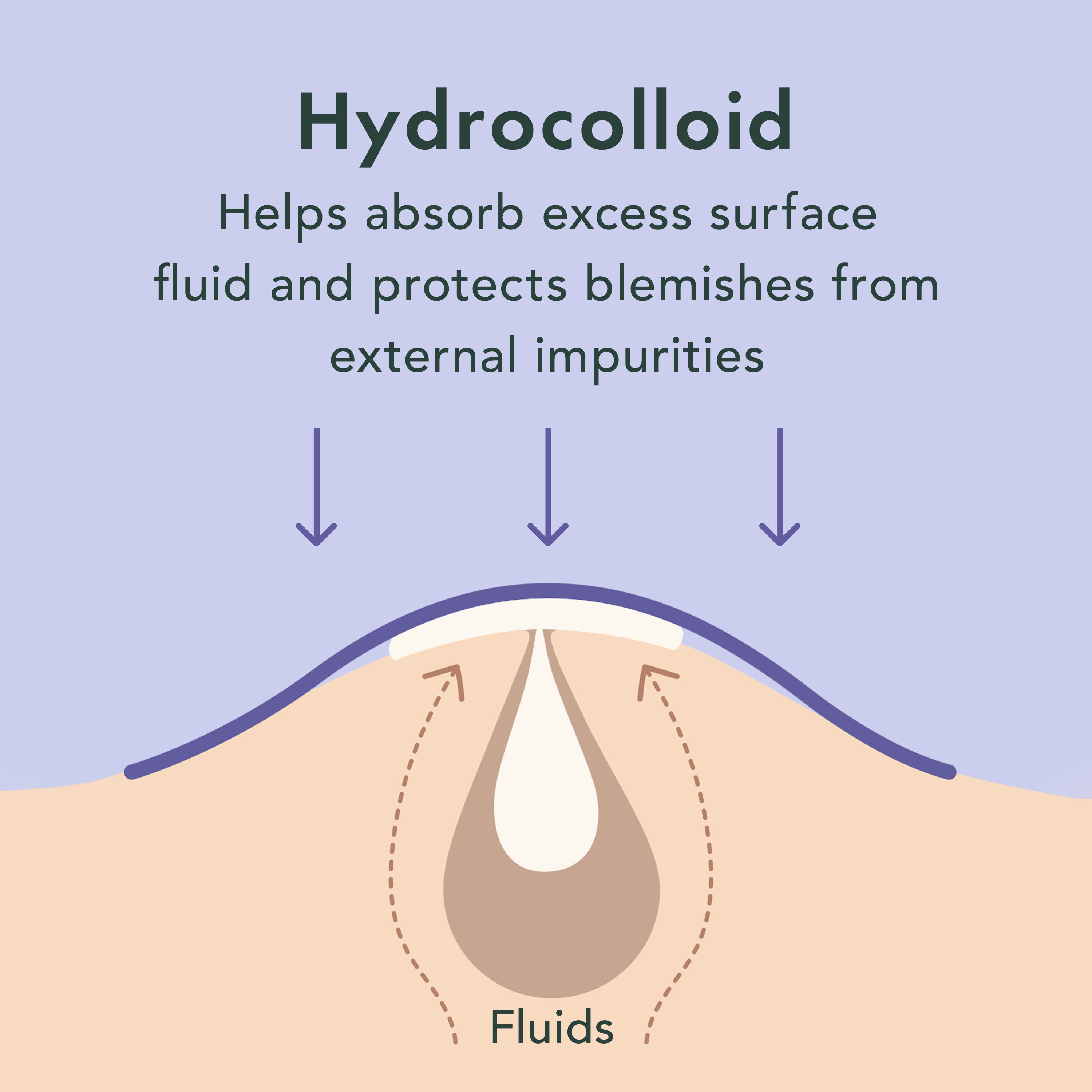 Diagram of hydrocolloid dressing absorbing excess surface fluid and protecting blemishes from external impurities.